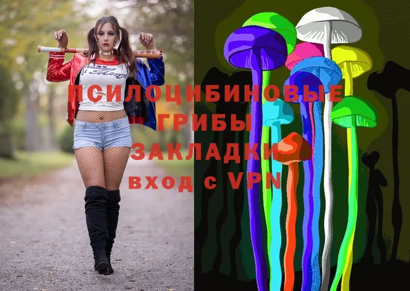 Галлюциногенные грибы MAGIC MUSHROOMS  ссылка на мегу ССЫЛКА  Нарьян-Мар 